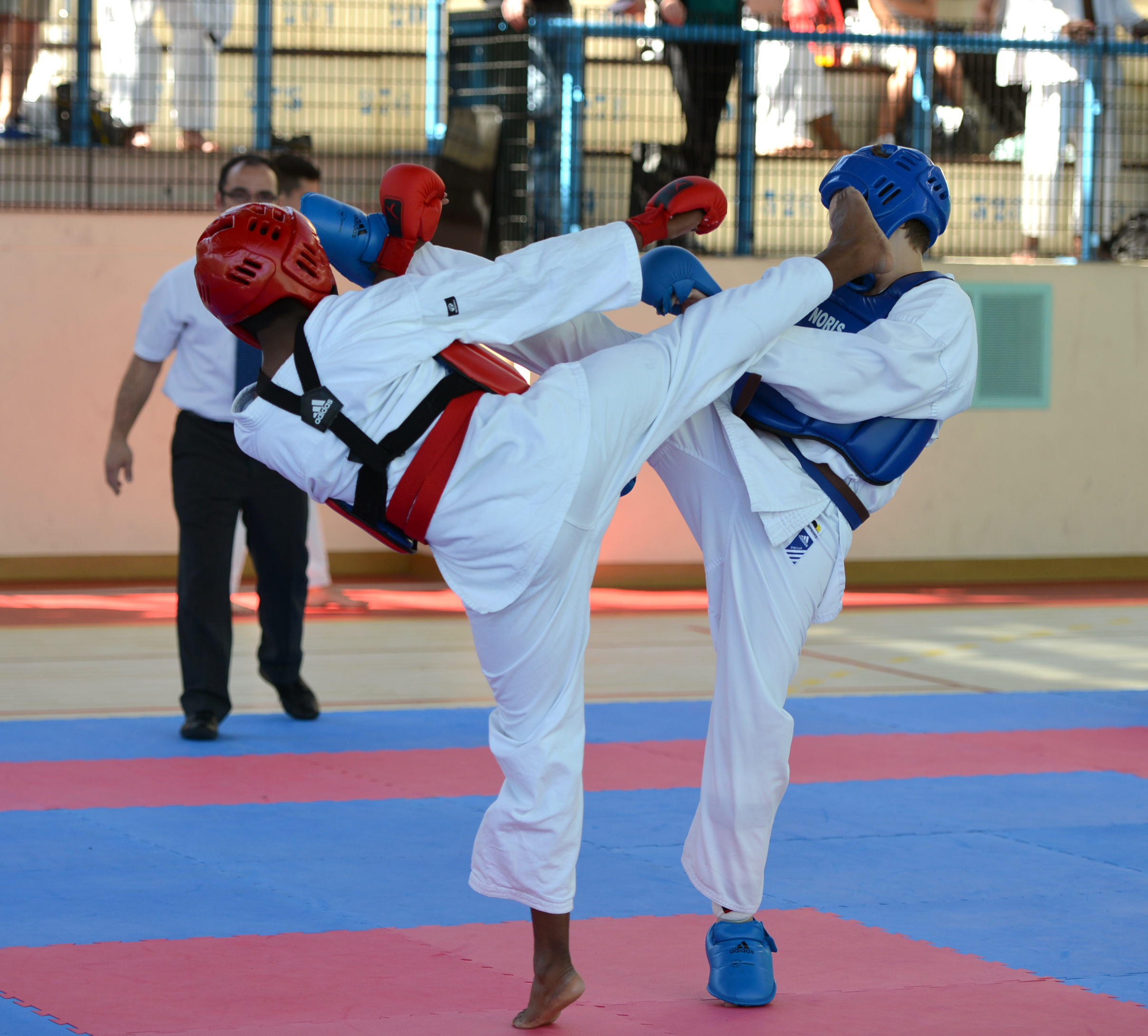 coupe de France enfant Uechi-ryu